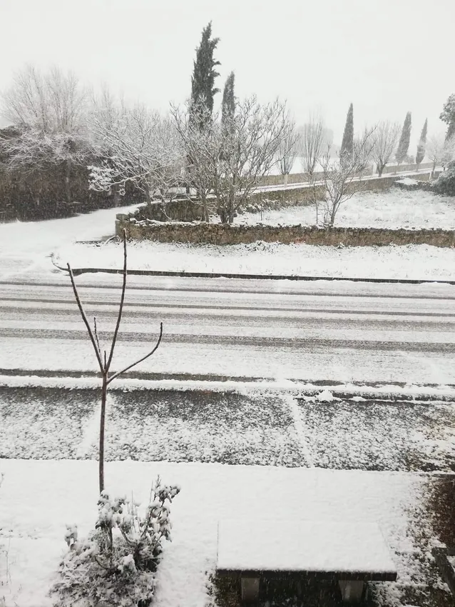 Nevada en Villavieja / CARMEN ESTÉVEZ 