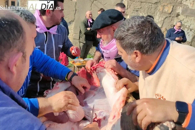 Mancera de Abajo vivía este sábado su V Matanza Tradicional