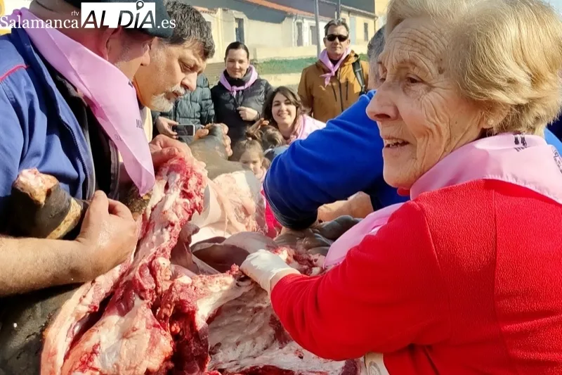 Foto 3 - Mancera de Abajo recupera su ambientada Matanza Tradicional 