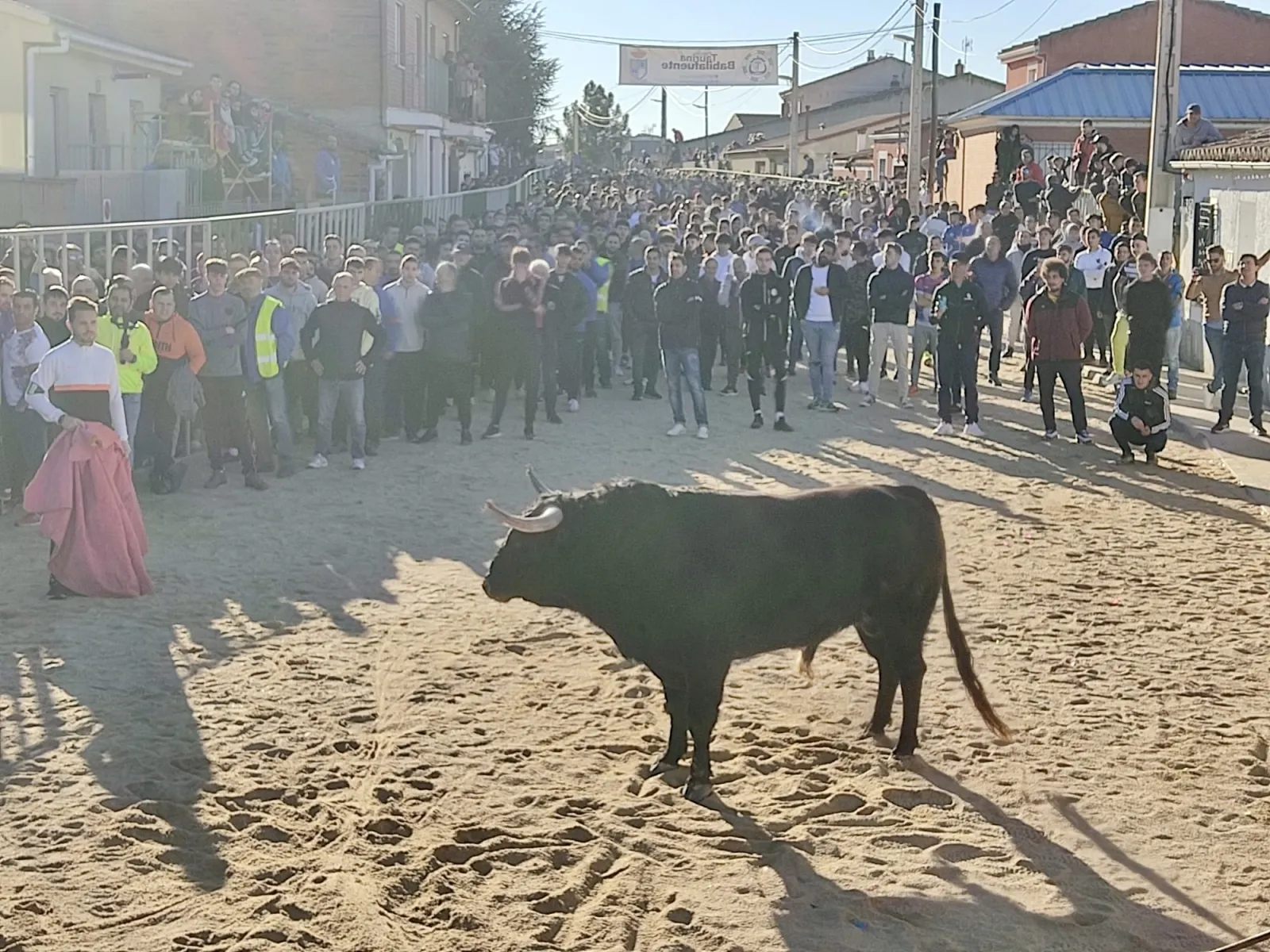 Foto 2 - Multitudinaria bienvenida en las calles al IV Toro de San Blas en Babilafuente