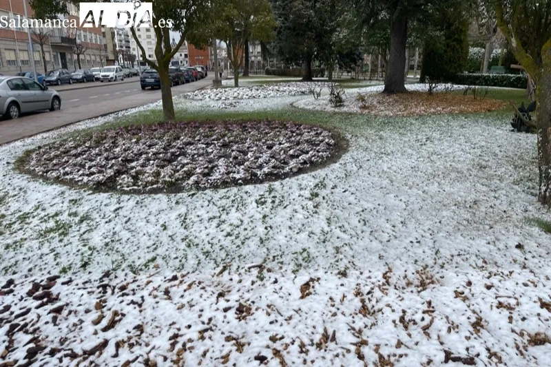 La nieve llegaba en la mañana de este jueves a Peñaranda
