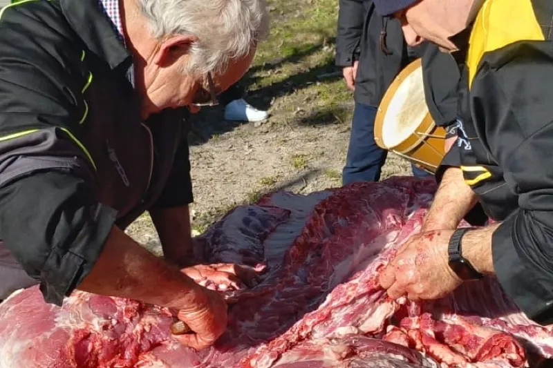 Ragama vivía este sábado su Matanza Tradicional