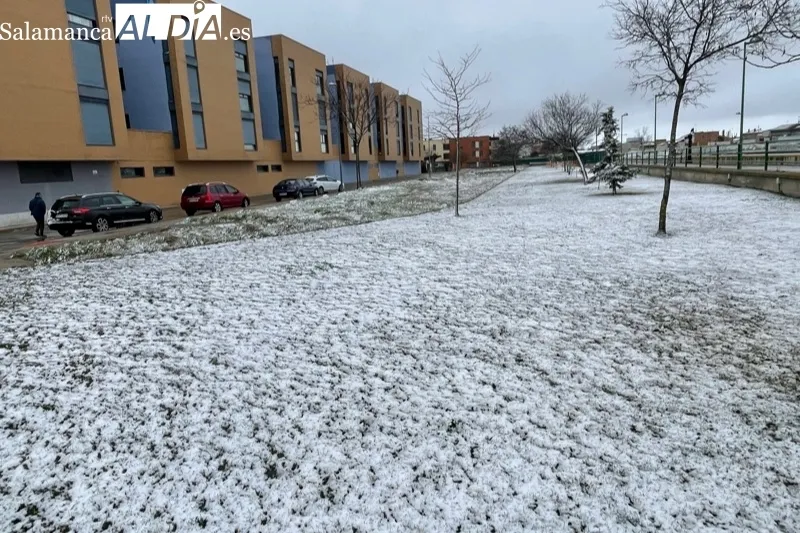 La nieve llegaba en la mañana de este jueves a Peñaranda