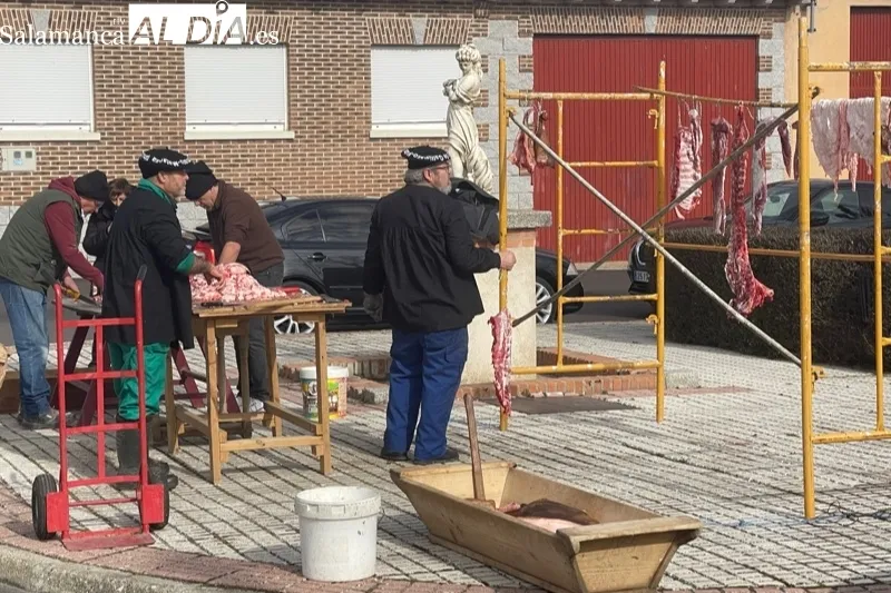 Villar de Gallimazo vive su XI Matanza Tradicional