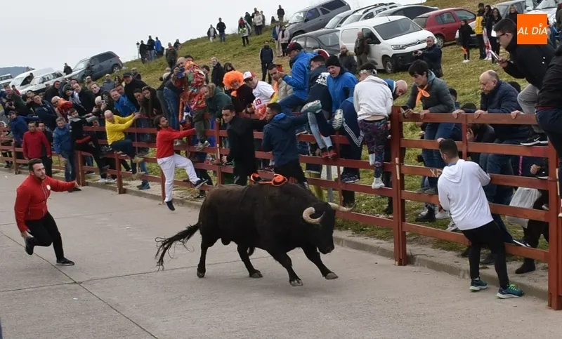 Foto 6 - Romino se eterniza en su estancia en la calle