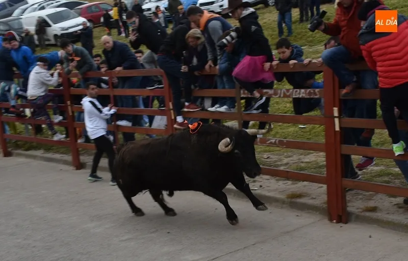 Foto 7 - Romino se eterniza en su estancia en la calle