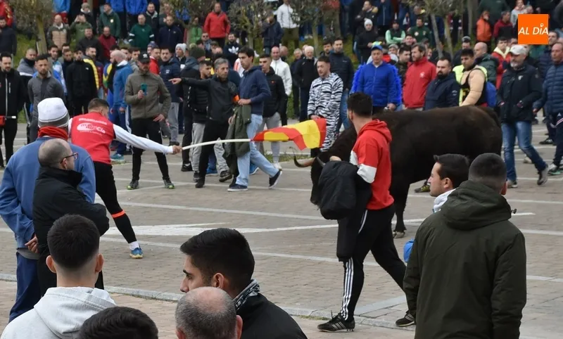 Foto 11 - Romino se eterniza en su estancia en la calle