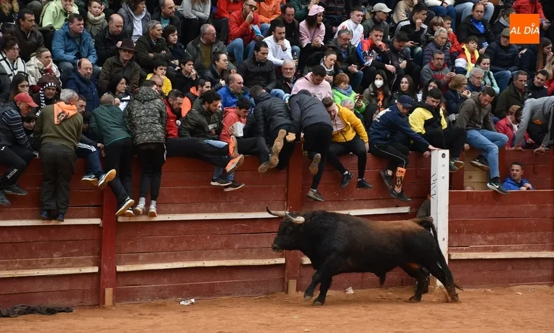 Foto 2 - Una capea menos vistosa salvo por varios referentes da paso a un desencierro con cuatro toros