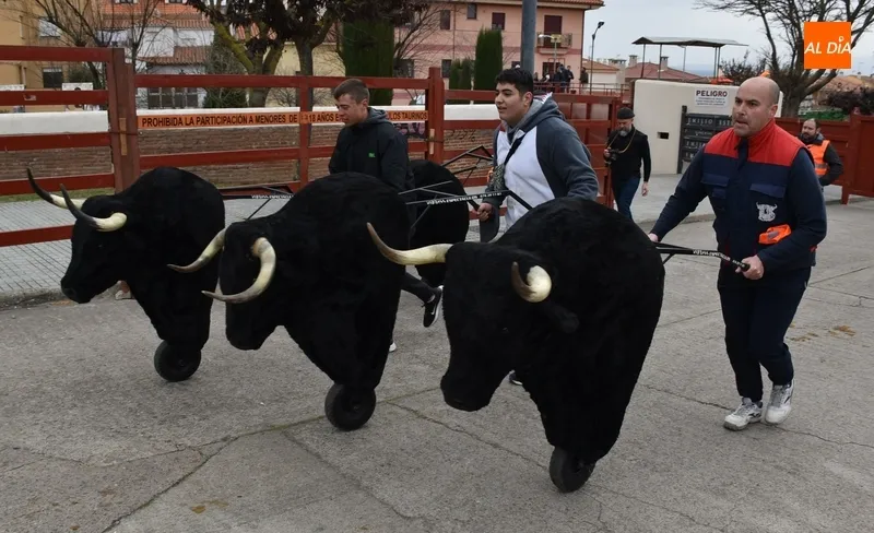 Foto 2 - Carnavaldeltoro.es sigue creando cantera con corredores de cada vez m&aacute;s corta edad