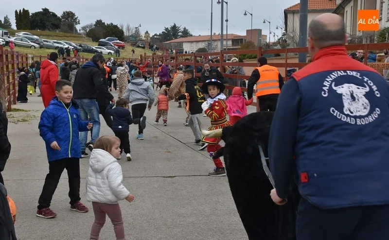 Foto 3 - Carnavaldeltoro.es sigue creando cantera con corredores de cada vez m&aacute;s corta edad