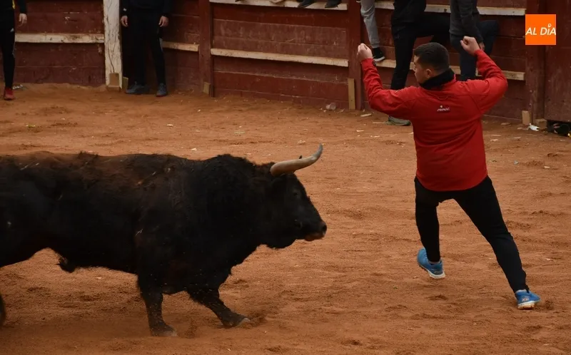 Foto 7 - Una capea menos vistosa salvo por varios referentes da paso a un desencierro con cuatro toros