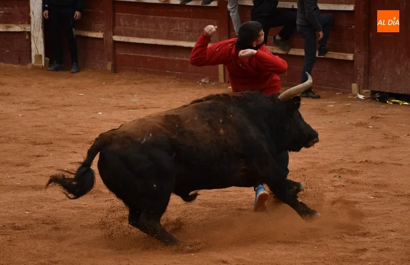 Foto 8 - Una capea menos vistosa salvo por varios referentes da paso a un desencierro con cuatro toros