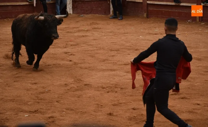 Foto 9 - Una capea menos vistosa salvo por varios referentes da paso a un desencierro con cuatro toros