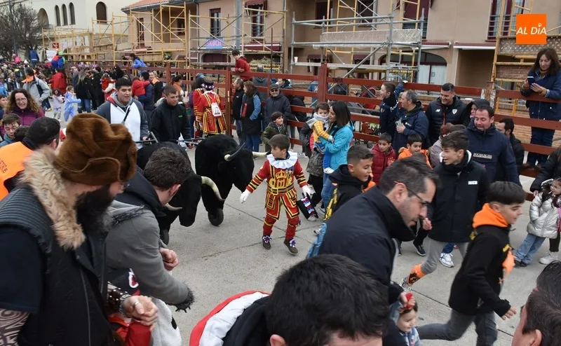 Foto 5 - Carnavaldeltoro.es sigue creando cantera con corredores de cada vez m&aacute;s corta edad