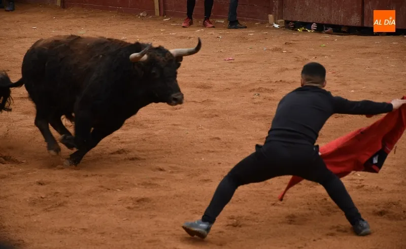 Foto 10 - Una capea menos vistosa salvo por varios referentes da paso a un desencierro con cuatro toros