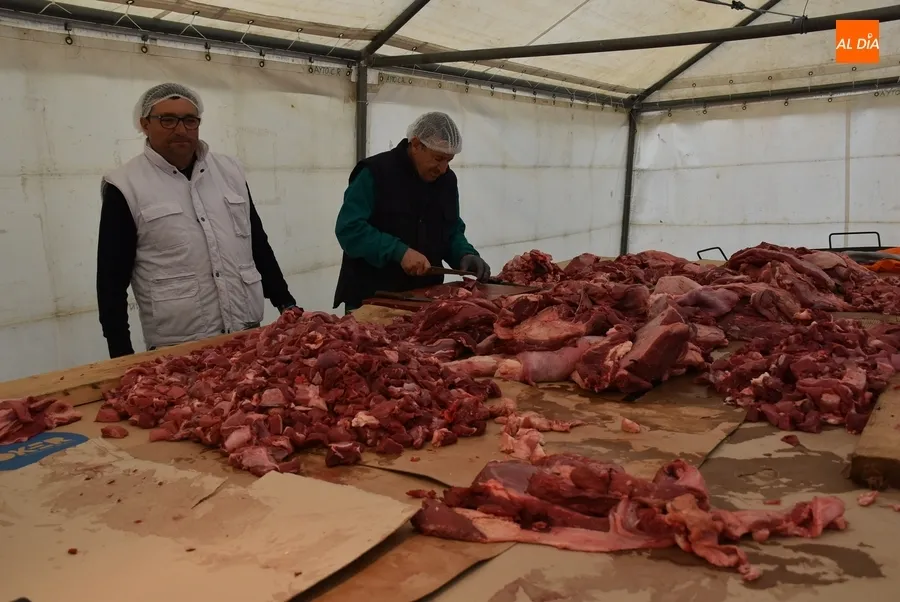 Foto 5 - Pelados 600 kilos de patatas y troceados 320 kilos de carne para el gran guiso de Pi&ntilde;ata