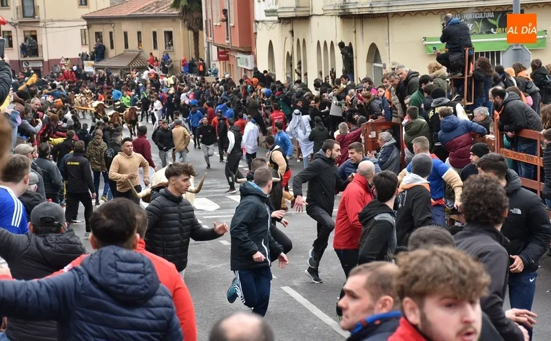 Foto 3 - Dos heridos de relevancia, uno por asta de toro, en el disgregado primer encierro urbano del Carnaval