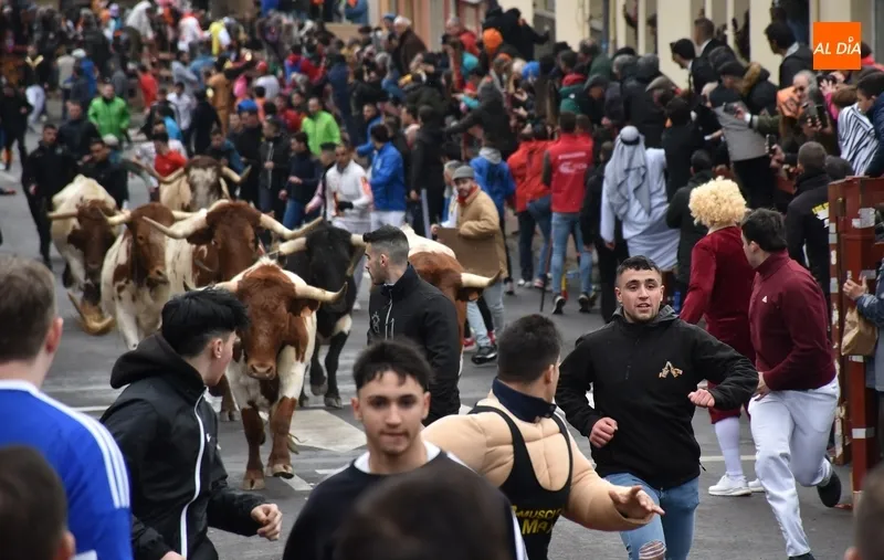Foto 6 - Dos heridos de relevancia, uno por asta de toro, en el disgregado primer encierro urbano del Carnaval