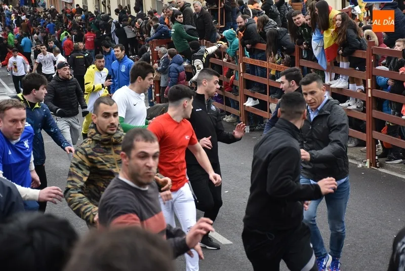 Foto 10 - Dos heridos de relevancia, uno por asta de toro, en el disgregado primer encierro urbano del Carnaval