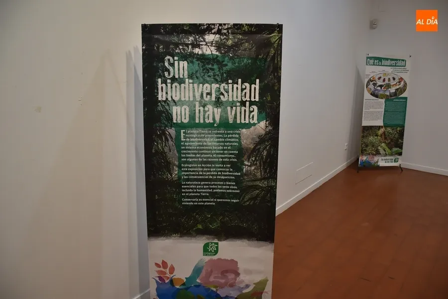 Foto 9 - La Casa de la Cultura exalta la biodiversidad con una exposici&oacute;n de Ecologistas en Acci&oacute;n