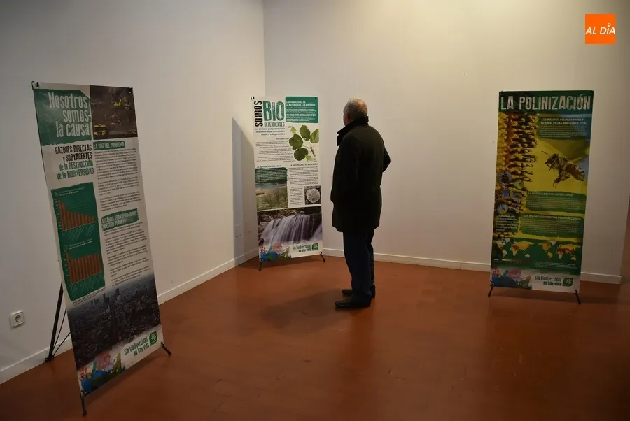 Foto 7 - La Casa de la Cultura exalta la biodiversidad con una exposici&oacute;n de Ecologistas en Acci&oacute;n