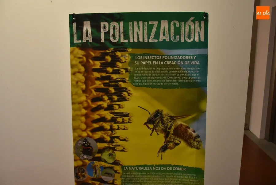 Foto 6 - La Casa de la Cultura exalta la biodiversidad con una exposici&oacute;n de Ecologistas en Acci&oacute;n