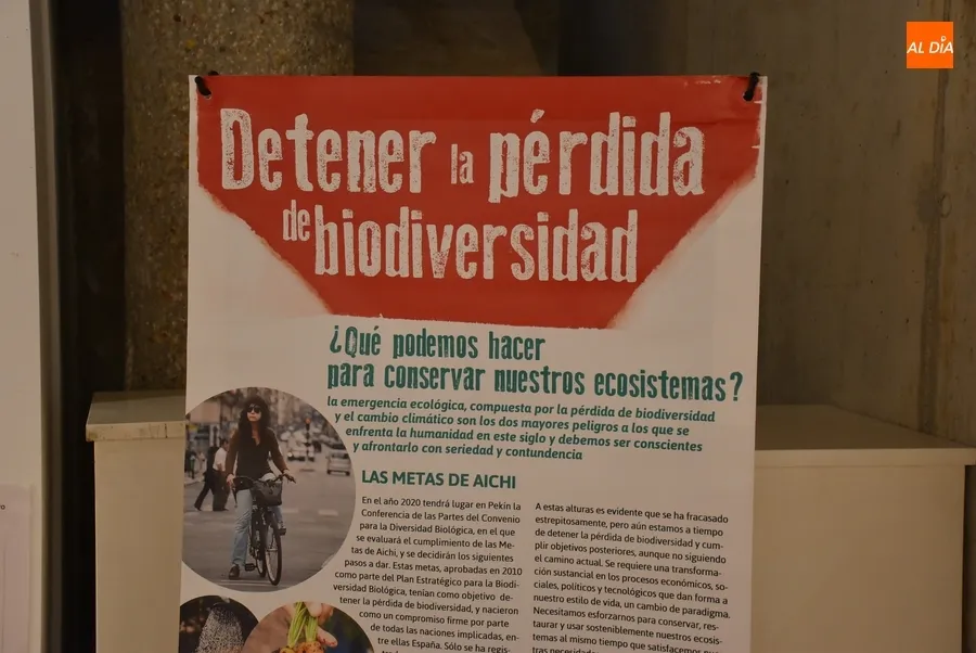 Foto 5 - La Casa de la Cultura exalta la biodiversidad con una exposici&oacute;n de Ecologistas en Acci&oacute;n