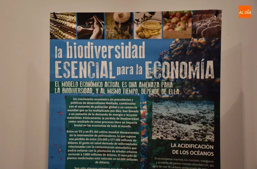 Foto 4 - La Casa de la Cultura exalta la biodiversidad con una exposici&oacute;n de Ecologistas en Acci&oacute;n