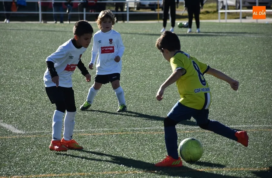 Foto 3 - #M | 4-5 FEB | Suma y sigue del Prebenjam&iacute;n del Ciudad Rodrigo