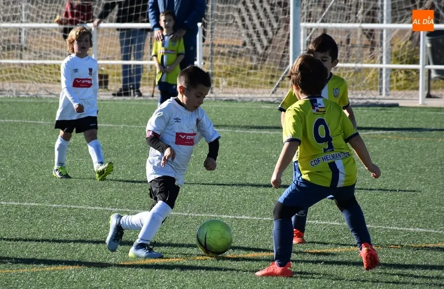 Foto 5 - #M | 4-5 FEB | Suma y sigue del Prebenjam&iacute;n del Ciudad Rodrigo