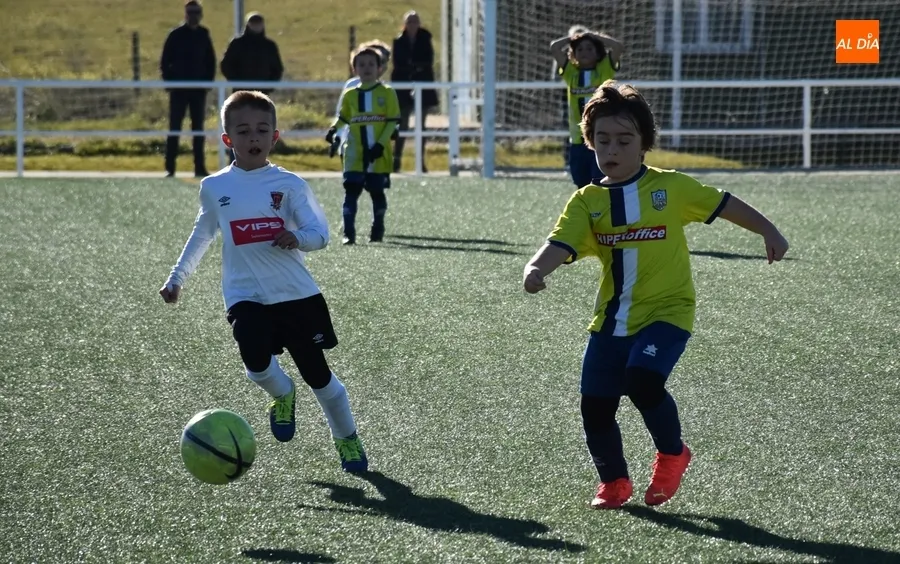 Foto 8 - #M | 4-5 FEB | Suma y sigue del Prebenjam&iacute;n del Ciudad Rodrigo