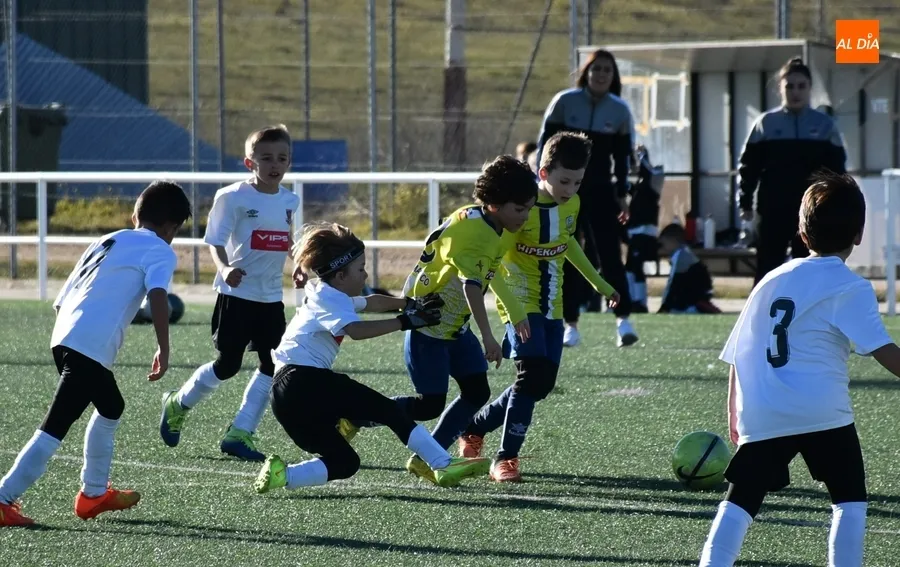 Foto 10 - #M | 4-5 FEB | Suma y sigue del Prebenjam&iacute;n del Ciudad Rodrigo