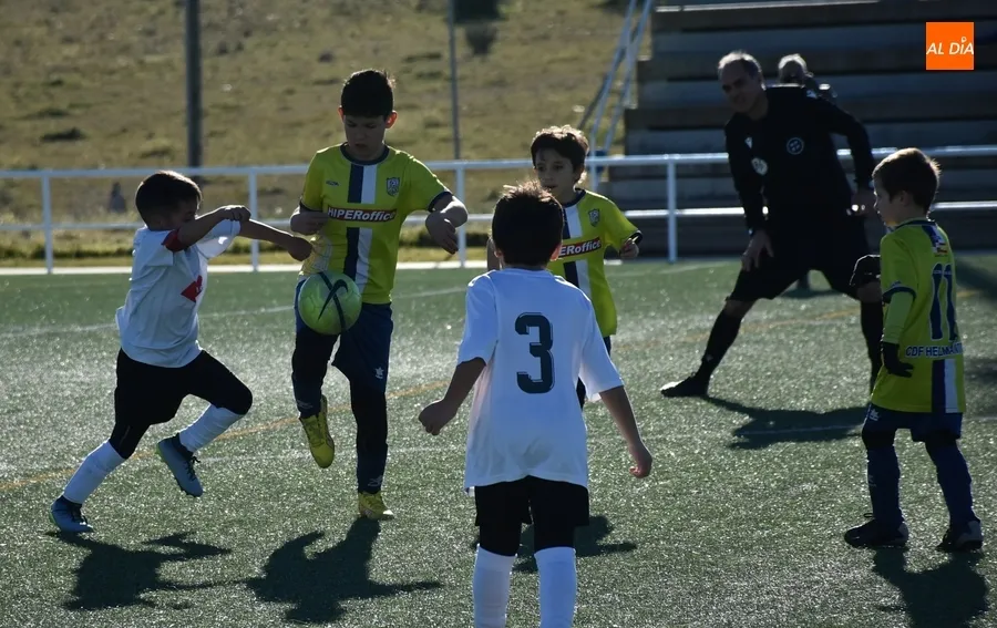 Foto 11 - #M | 4-5 FEB | Suma y sigue del Prebenjam&iacute;n del Ciudad Rodrigo