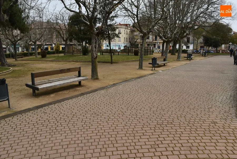 Foto 3 - Arranca por toda la ciudad el largo proceso de vuelta a la normalidad tras el Carnaval