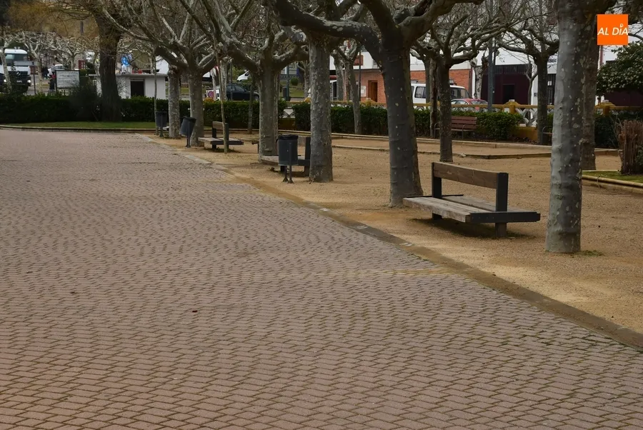 Foto 4 - Arranca por toda la ciudad el largo proceso de vuelta a la normalidad tras el Carnaval