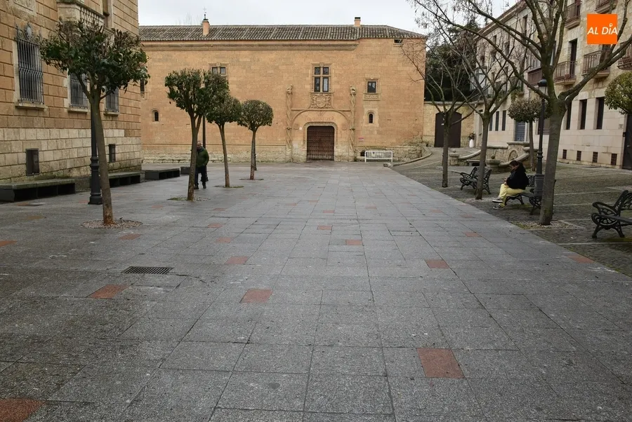 Foto 9 - Arranca por toda la ciudad el largo proceso de vuelta a la normalidad tras el Carnaval