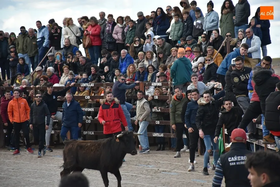 Foto 6 - Llenazo en el l&uacute;dico &uacute;ltimo evento taurino del Carnaval 2023
