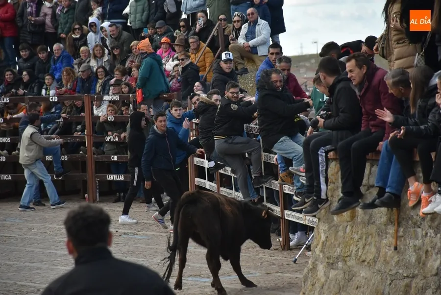 Foto 7 - Llenazo en el l&uacute;dico &uacute;ltimo evento taurino del Carnaval 2023