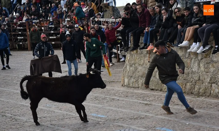 Foto 8 - Llenazo en el l&uacute;dico &uacute;ltimo evento taurino del Carnaval 2023