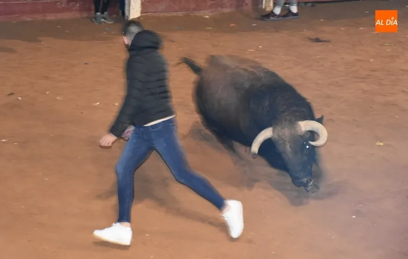 Foto 2 - Los recortadores dominan una velada con notable juego de los astados y un final estramb&oacute;tico