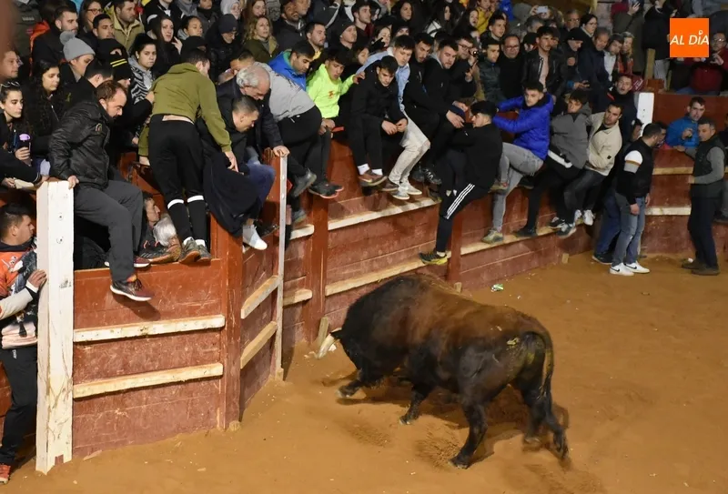 Foto 3 - Los recortadores dominan una velada con notable juego de los astados y un final estramb&oacute;tico
