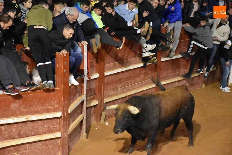 Foto 4 - Los recortadores dominan una velada con notable juego de los astados y un final estramb&oacute;tico