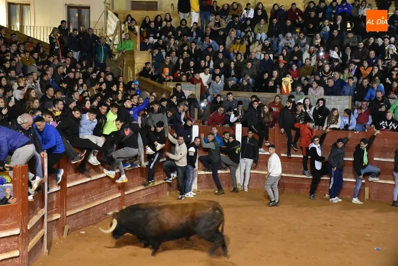 Foto 10 - Los recortadores dominan una velada con notable juego de los astados y un final estramb&oacute;tico