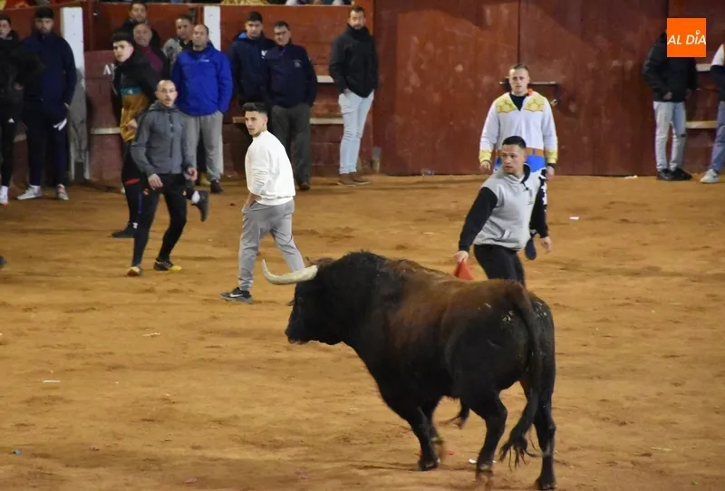 Foto 11 - Los recortadores dominan una velada con notable juego de los astados y un final estramb&oacute;tico