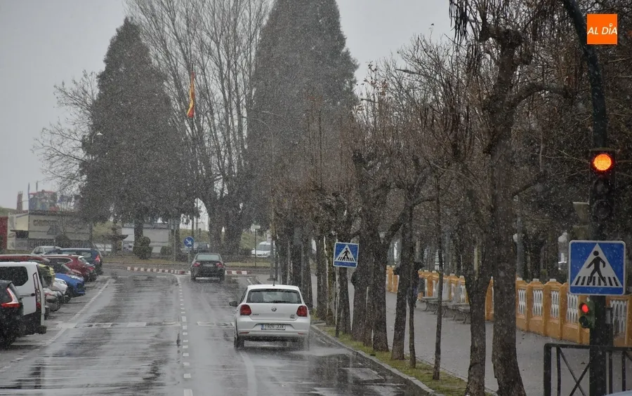 Foto 6 - Ciudad Rodrigo recibe la visita de la nieve, aunque sin cuajar lo m&aacute;s m&iacute;nimo