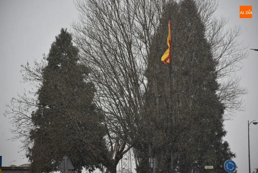 Foto 3 - Ciudad Rodrigo recibe la visita de la nieve, aunque sin cuajar lo m&aacute;s m&iacute;nimo