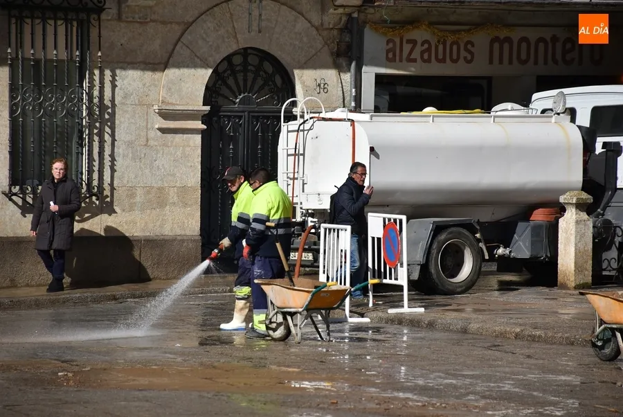 Foto 8 - El &aacute;gora mirobrigense se termina de despedir del Carnaval a ras de suelo