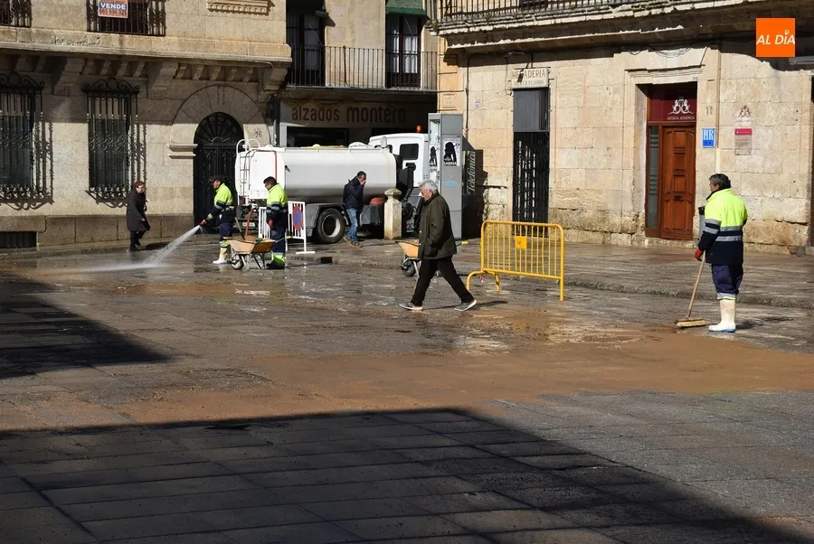 Foto 9 - El &aacute;gora mirobrigense se termina de despedir del Carnaval a ras de suelo