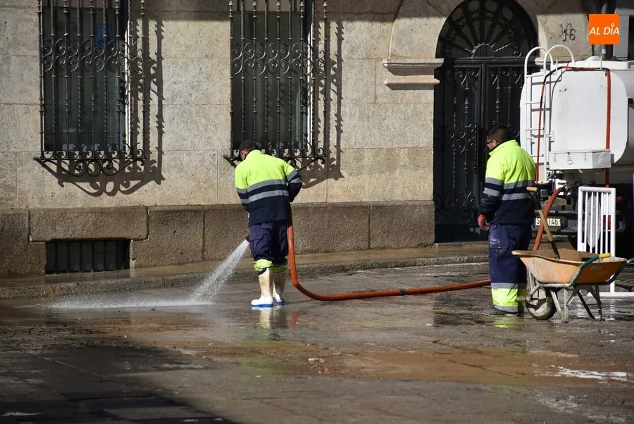 Foto 10 - El &aacute;gora mirobrigense se termina de despedir del Carnaval a ras de suelo