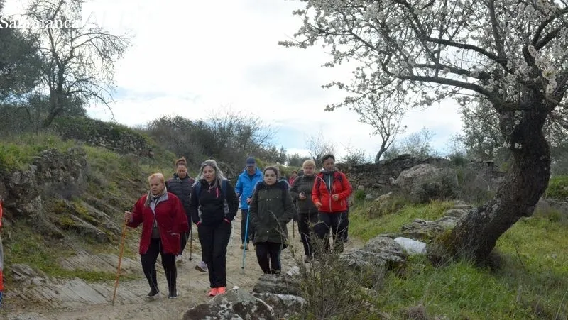 La ruta discurrió por caminos y campos salpicados de almendros en flor